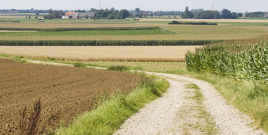 Landschaftsbild vom Niederrhein. Feldweg. Am Horizont ist Dorf zu erkennen.