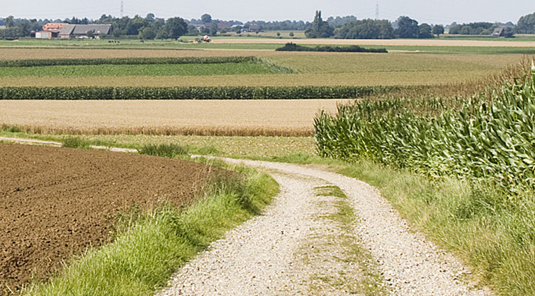 Landschaftsbild vom Niederrhein. Feldweg. Am Horizont ist Dorf zu erkennen.