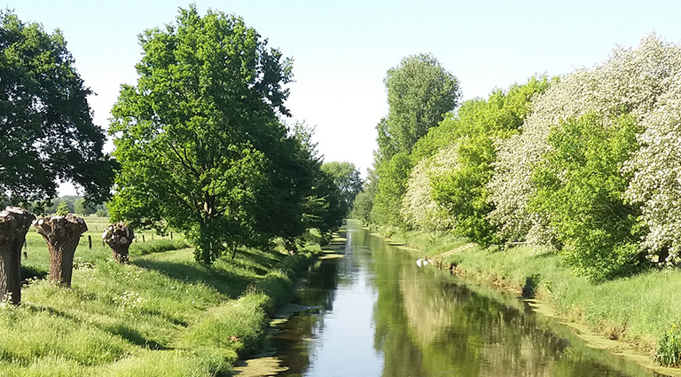 Kleiner Fluß mit viel grün am Ufer am Niederrhein