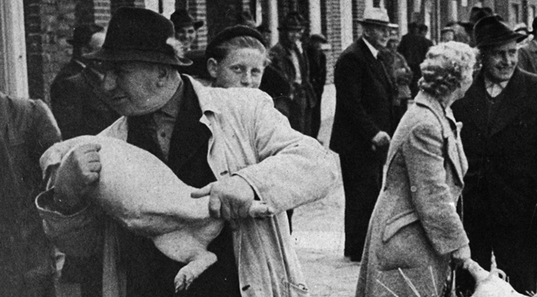 Schwarzweißbild vom Ferkelmarkt. ca. 1950