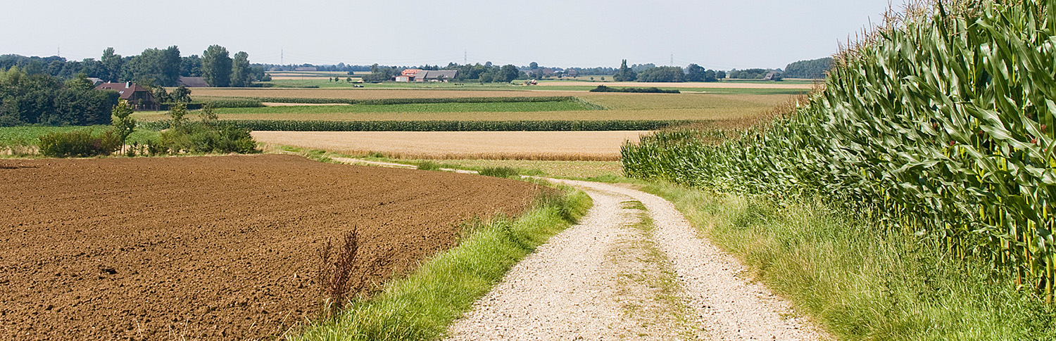 Landschaftsbild vom Niederrhein. Feldweg. Am Horizont ist Dorf zu erkennen.